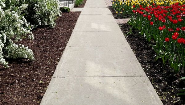 Cost of Sidewalk Concrete Replacement in Michigan City